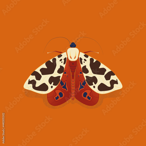 moth, butterfly, illustration, orange, nature, bug	