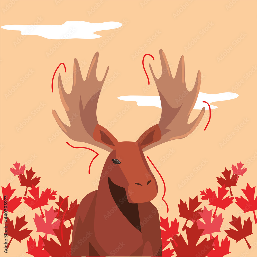 Canada moose and leafs Canada moose and leafs