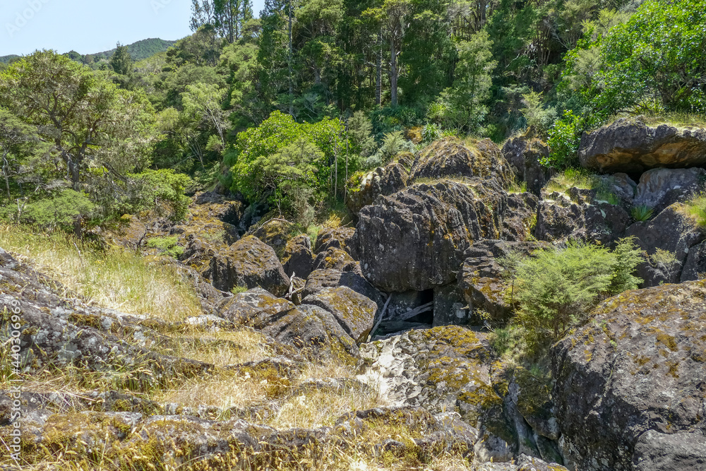 Fototapeta premium Around Wairere Boulders in New Zealand