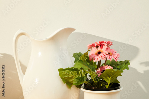 still life with flowers and jug