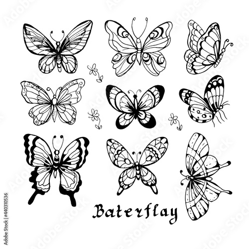 Butterflies insects graphic illustration hand-drawn vector doodle sketch. nature animals wings in flight © Paint_art