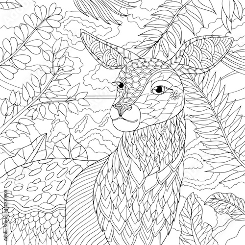 Deer in forest elegant portrait. Coloring book page for adult with doodle and zentangle element. Vector isolated hand drawn line art.