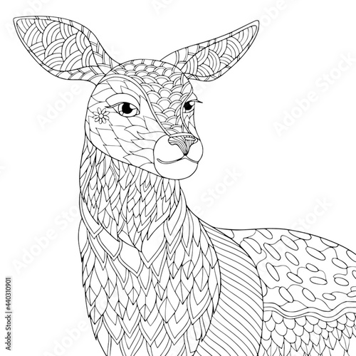 Fallow-deer elegant portrait. Coloring book page for adult with doodle and zentangle element. Vector isolated hand drawn line art.