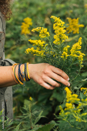 Goldenrod