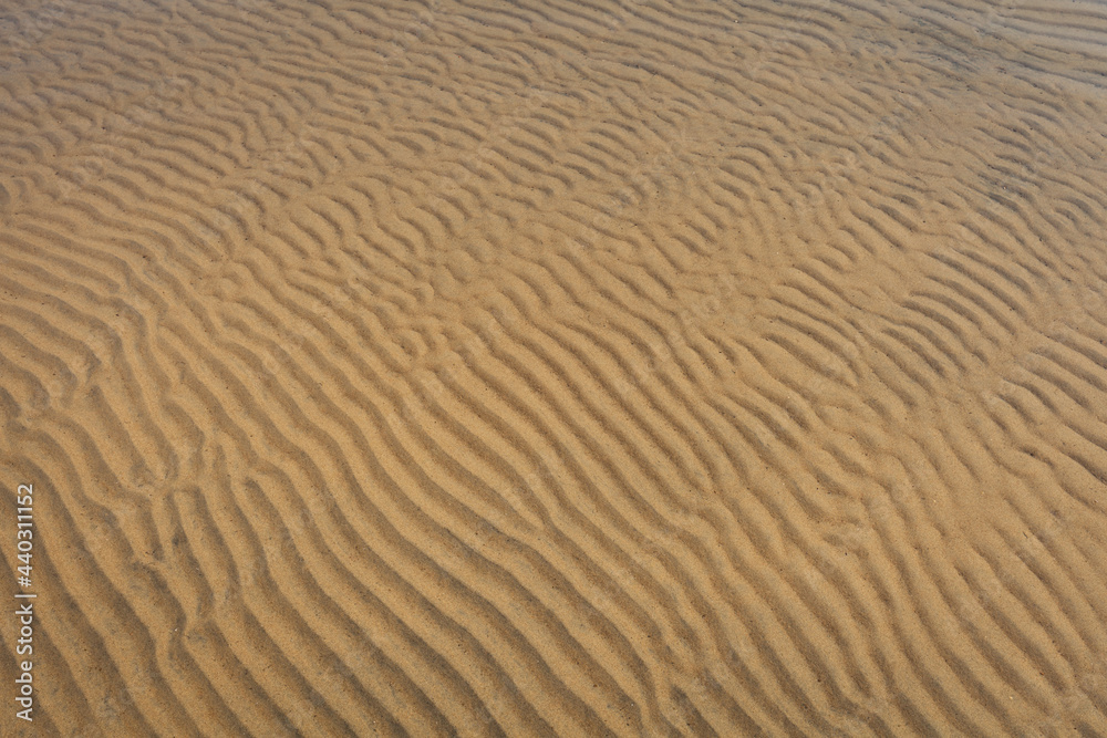 sand ripple texture