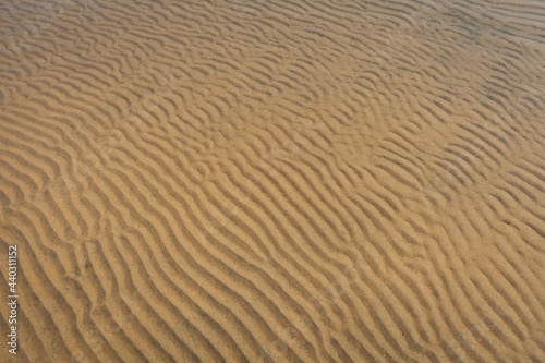 sand ripple texture