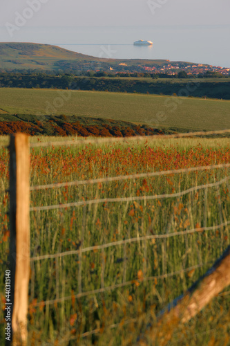 Farmland on a sunny evening in the South Downs National Park with the sun setting over the Sussex Weald. Newhaven to Dieppe car ferry in the far distance. Selective focus.