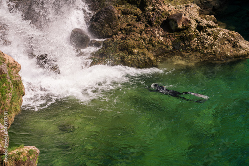 Schnorchler am Traunfall in Oberösterreich photo