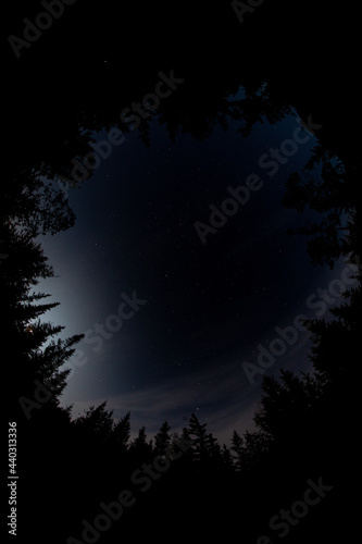 moonlight