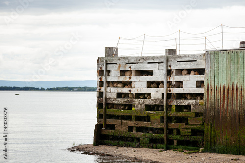 white and green pier