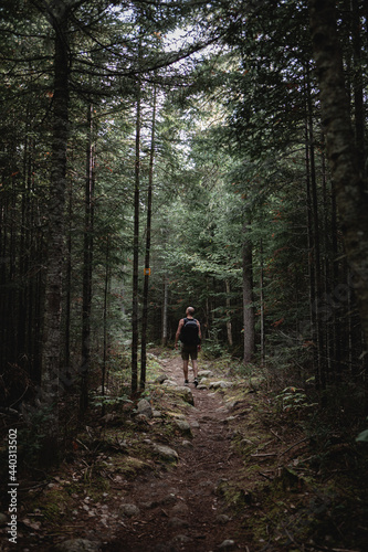 man waling in the forest