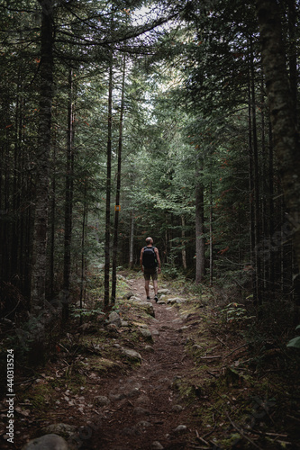 man walking in the forest