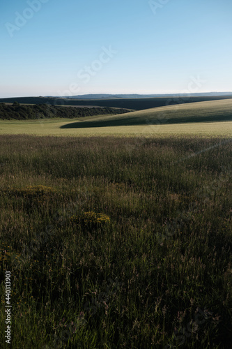Farmland on a sunny evening in the South Downs National Park with the sun setting over the Sussex Weald. Wild grass in the foreground. 