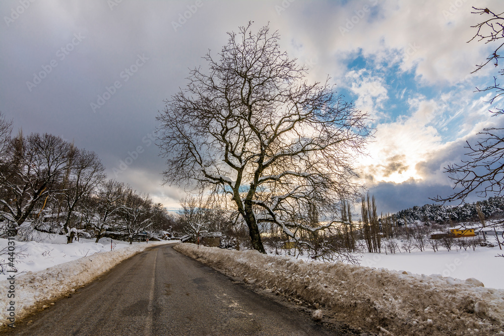 Winter scene in Bozdag Mountain Winter scene in Bozdag Mountain