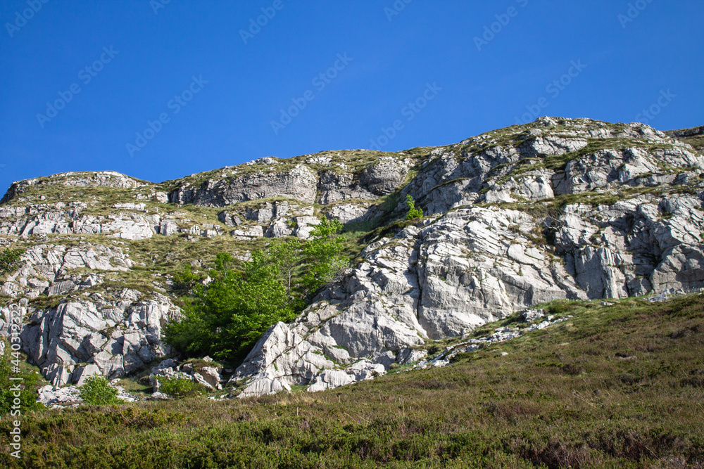Magical forest climbing the highest Mountain Magical forest climbing the highest Mountain