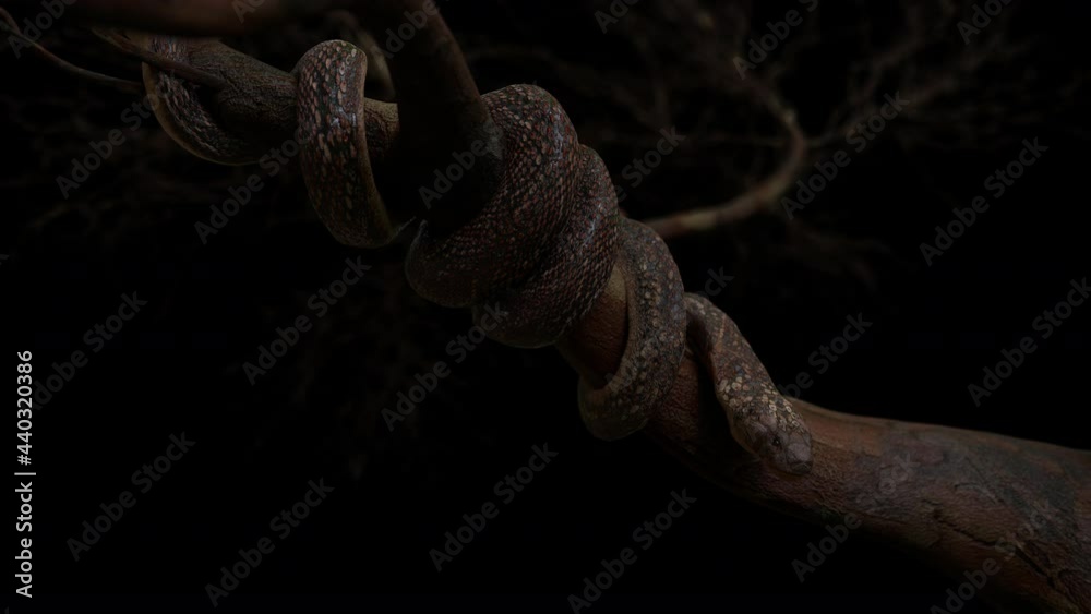 King cobra snake coil on big tree have slowly movement with 3d rendering include alpha path.