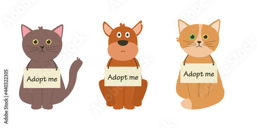 Set of homeless animals. Vector cartoon dog and cats with sign Adopt me. Concept for International homeless animals day.