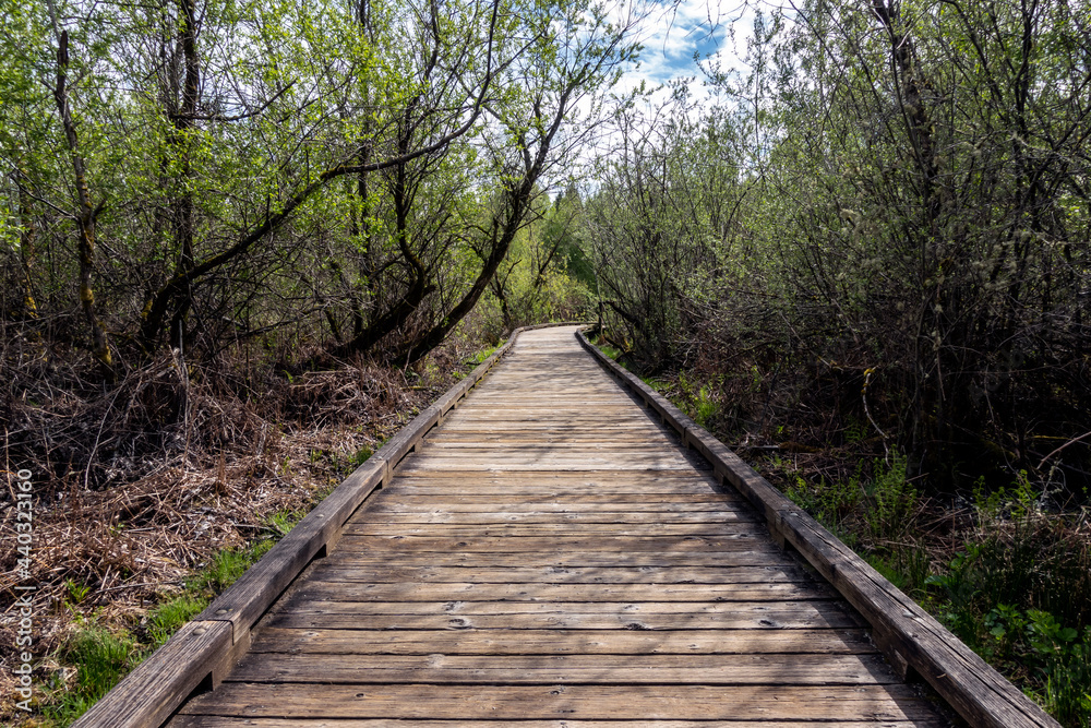 curved boardwalk in a marshland on a cloudy, overcast day in the pacific northwest curved boardwalk in a marshland on a cloudy, overcast day in the pacific northwest