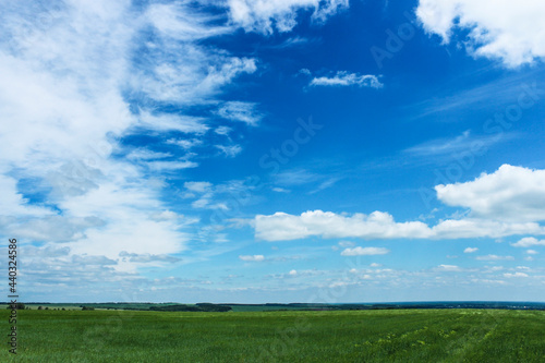 Green field and the sky with clouds