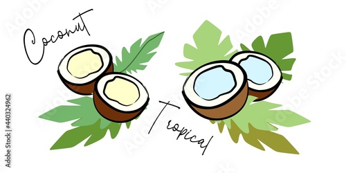 Coconuts and Summer and coconut milk. Nice vacation and cocktails