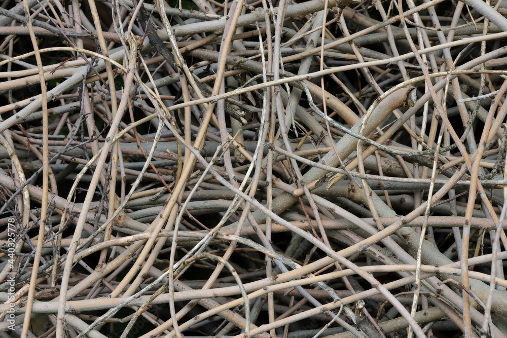 Close up of dried twigs