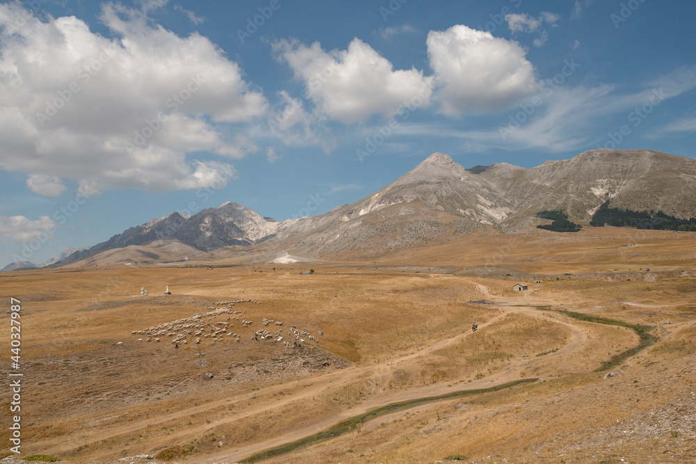 Campo Imperatore- estate -gregge - Abruzzo-Italia Campo Imperatore- estate -gregge - Abruzzo-Italia