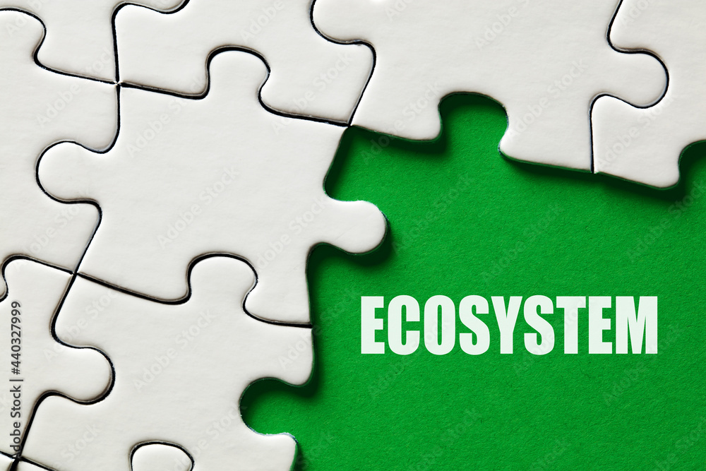 The word ecosystem surrounded by puzzle pieces. Environmental conservation The word ecosystem surrounded by puzzle pieces. Environmental conservation