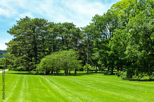 Scenic of green landscape, public outdoor park for leisure and picnic. Beautiful greenery environment, lush field and trees with white clouds in blue sky. Recreation and relaxation place with nature.