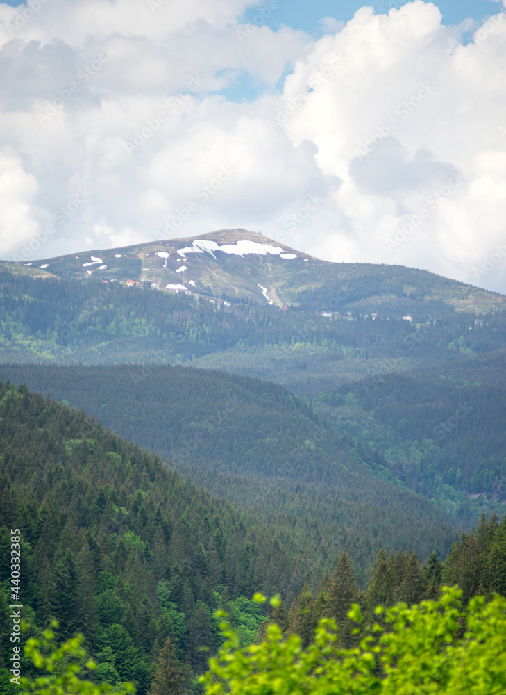 Fototapeta premium Snow-capped Carpathian mountains on a background of green forest in summer