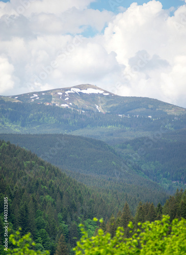 Snow-capped Carpathian mountains on a background of green forest in summer