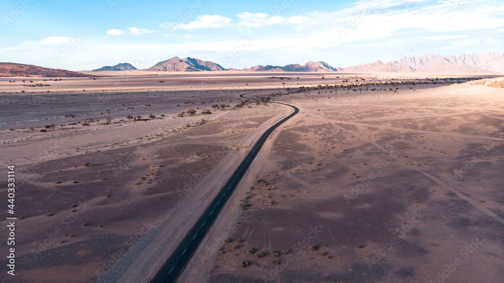 Naklejka premium View of the road in the Namib desert, Africa