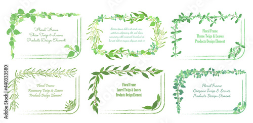 Vintage Frames Made by Culinary Herbs and Strokes