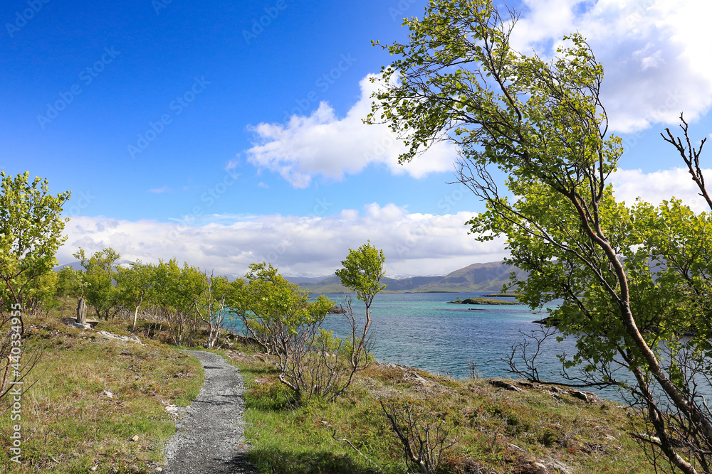 On a hike a great summer day,Helgeland,Nordland county,scandinavia,Europe On a hike a great summer day,Helgeland,Nordland county,scandinavia,Europe