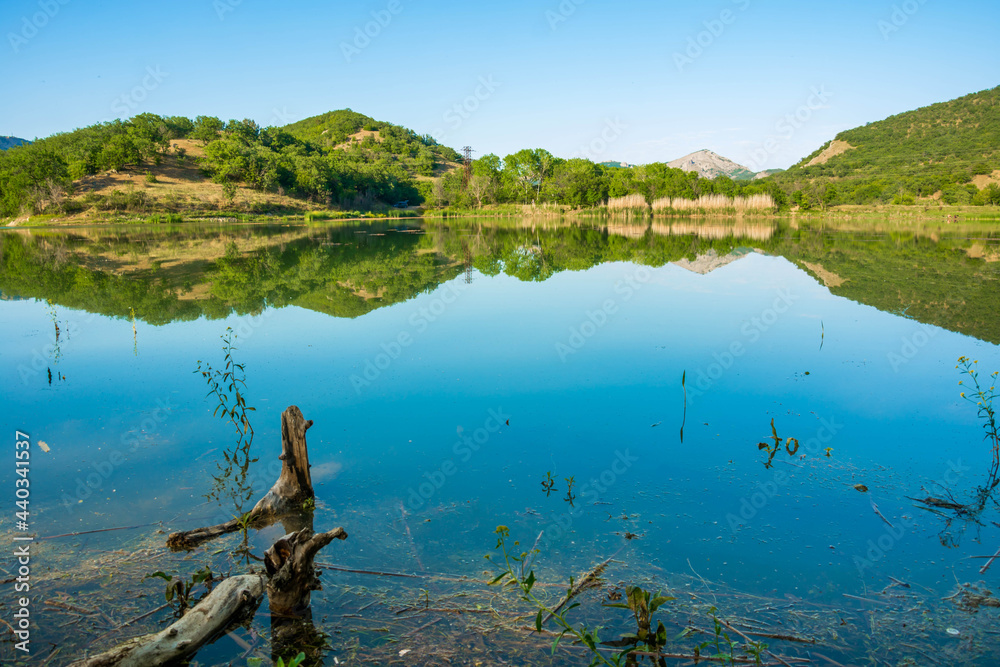 Forest Lake Forest Lake