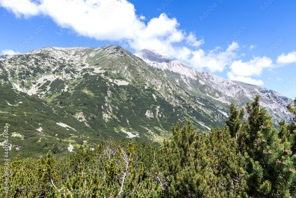 Fototapeta premium Landscape of Pirin Mountain near Vihren hut, Bulgaria