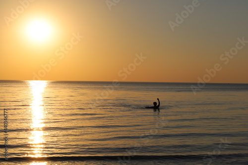 Fototapeta Naklejka Na Ścianę i Meble -  sunset at the beach