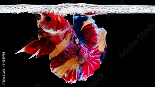 oil paint  siames fighting fish..betta splendens fish.