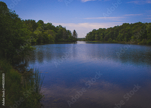 lake in the forest