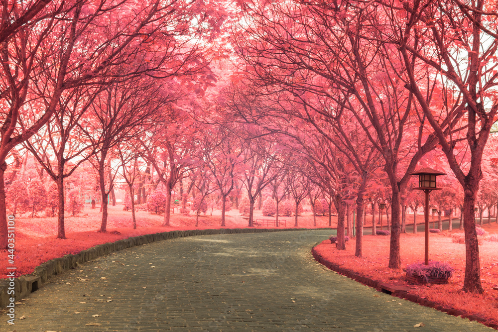 Obraz premium Landscape photos infrared: a trail going down Giang Dien waterfall (Vietnam)