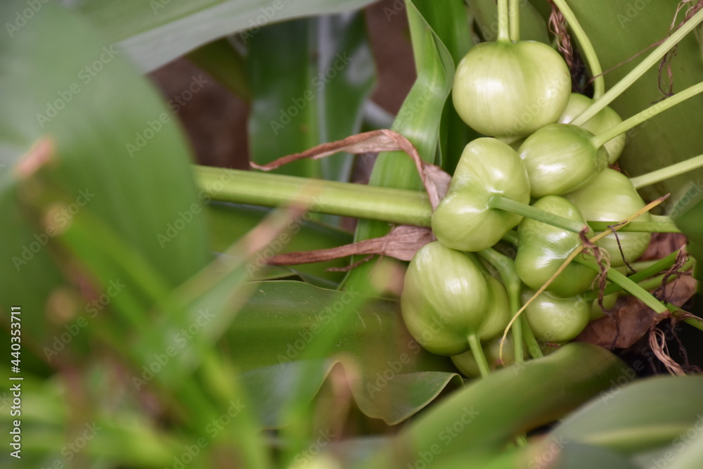 Beautiful scenery in Changi Village sea beach ,Singapore 