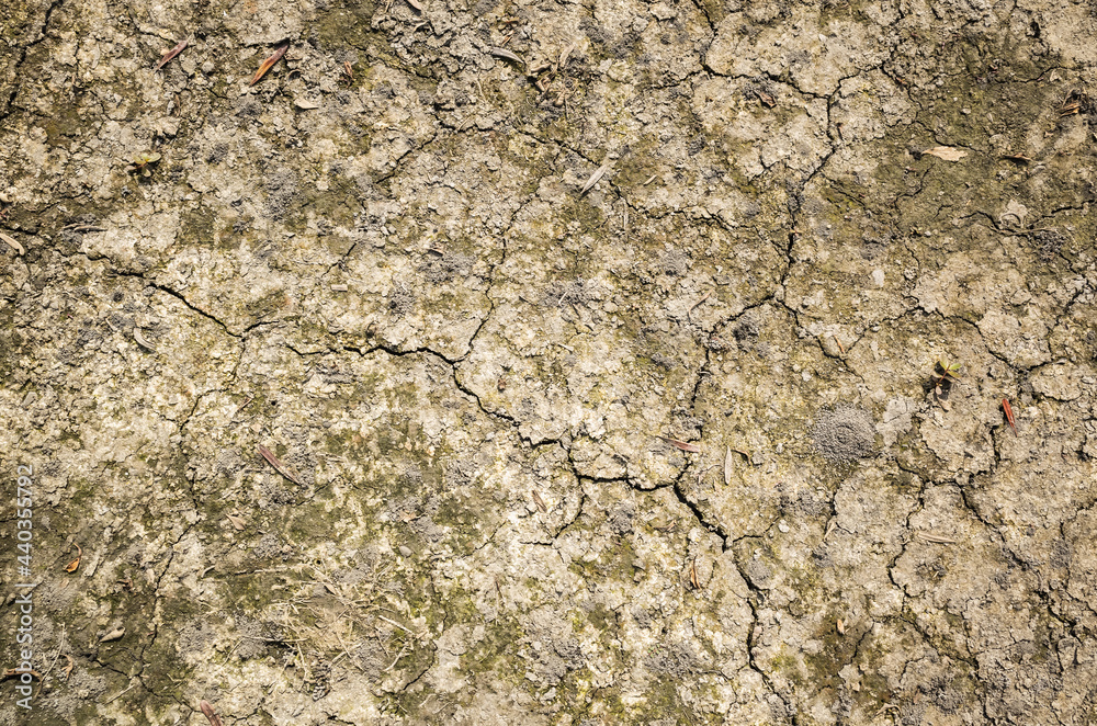 concept background of nature dry concept background of nature dry