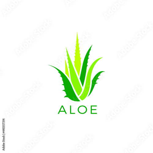 Aloe Vera logo fresh design