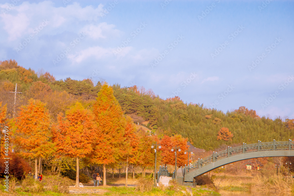 한국의 가을 모습