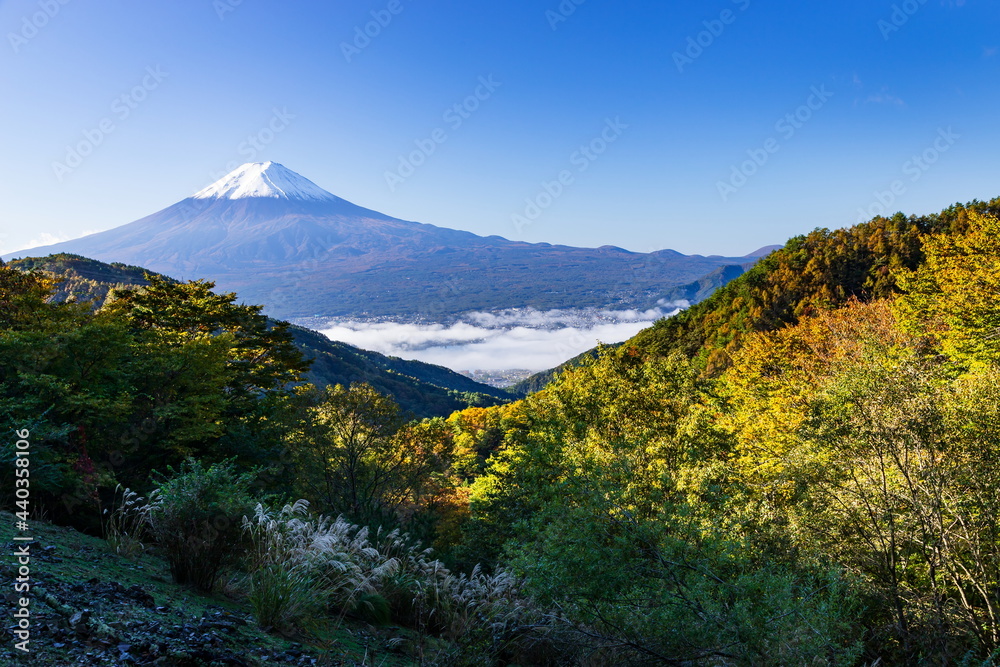 Naklejka premium 御坂峠から眺める秋の富士山と雲海に覆われた河口湖 山梨県富士河口湖町にて