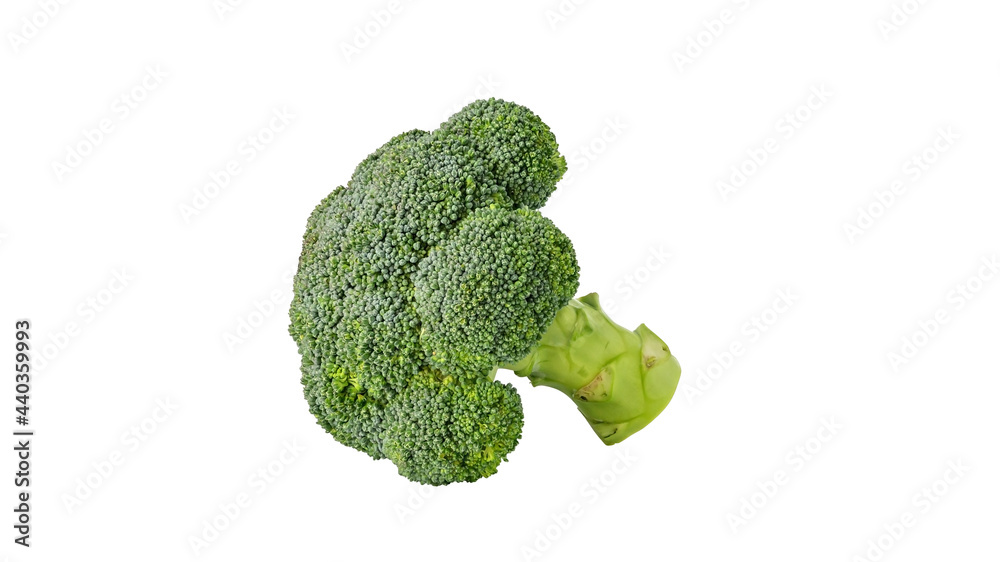 Green broccoli vegetable on a white background. Green broccoli vegetable on a white background.