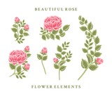 Hand drawn vintage red rose flower vector illustration arrangement and bouquet element collection