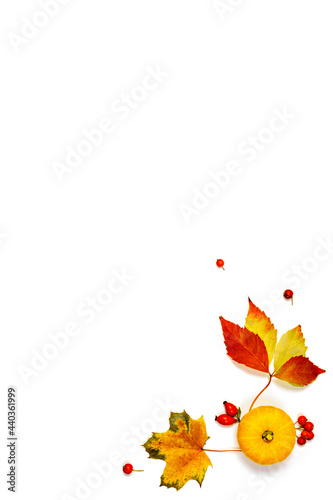 Leaf autumn. Natural food, harvest with orange pumpkin, fall dried leaves, rowan berries isolated on white background. Concept of Thanksgiving day or Halloween.