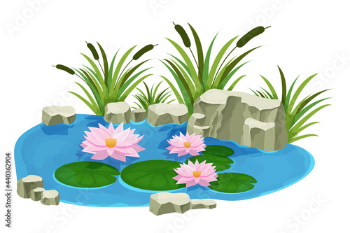 Fototapeta Naklejka Na Ścianę i Meble -  Lake with calm water, lily flowers, bulrush and stones in cartoon style isolated on white background. Outdoor natural pond. . Vector illustration