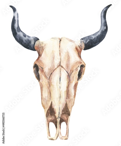 Watercolor bull skull isolated on white background. Watercolour illustration.