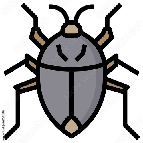 Insect